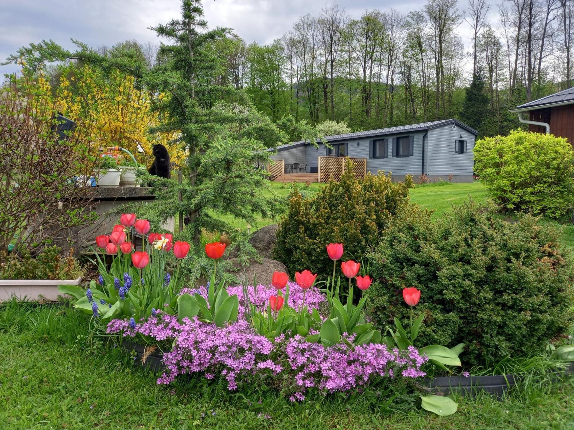 Chata Idylka - Nova Chata Se Zahradou Loucna nad Desnou Exterior photo
